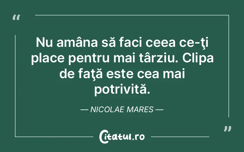 Citat Nicolae Mares - citate viata