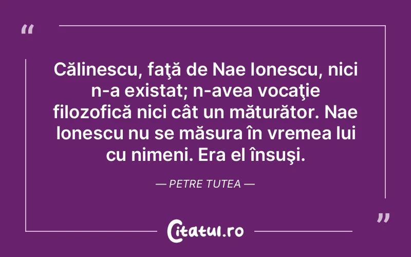 Citat Petre Tutea - citate viata