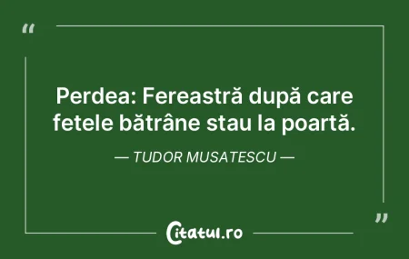 Viața socială este complicată și pli... Viața socială este complicată și pli...