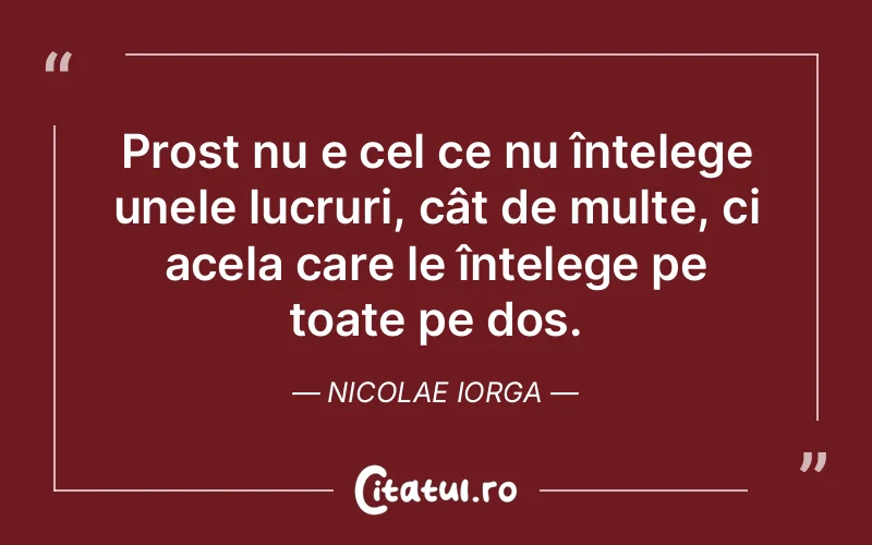 Citat Nicolae Iorga - citate viata
