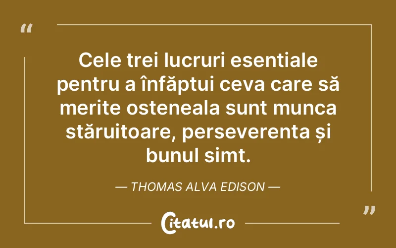 Cele trei lucruri esențiale pentru a înfăptui ceva care să merite osteneala sunt munca stăruitoare, perseverența și bunul simț. Thomas Alva Edison