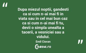 Dupa miezul noptii, gandesti ca si cum n-ai mai fi in viata sau in cel mai bun caz ca si cum n-ai mai fi tu, devii o simpla unealta a tacerii, a vesniciei sau a vidului. Emil Cioran...