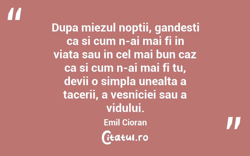 Dupa miezul noptii, gandesti ca si cum n-ai mai fi in viata sau in cel mai bun caz ca si cum n-ai mai fi tu, devii o simpla unealta a tacerii, a vesniciei sau a vidului. Emil Cioran
