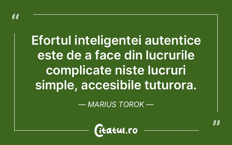 Citat Marius Torok - citate viata