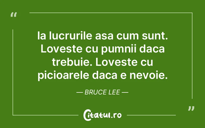 Citat Bruce Lee - citate viata