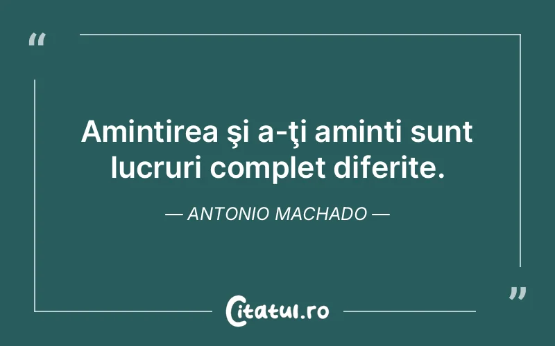 Citat Antonio Machado - citate viata