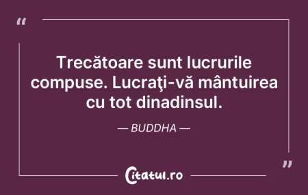 ÃŽn toate lucrurile mari pe care vrem sÄ... ÃŽn toate lucrurile mari pe care vrem sÄ...