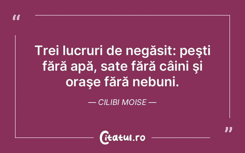 Citat Cilibi Moise - citate viata