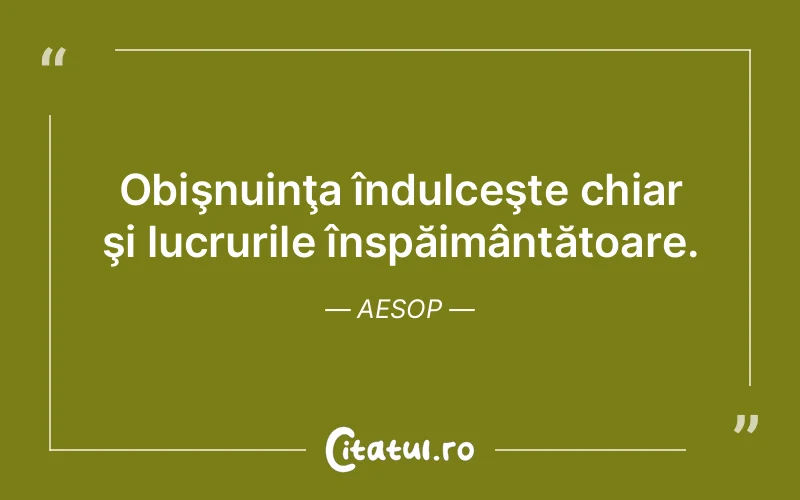 Citat Aesop - citate viata