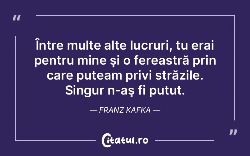 Citat Franz Kafka - citate viata