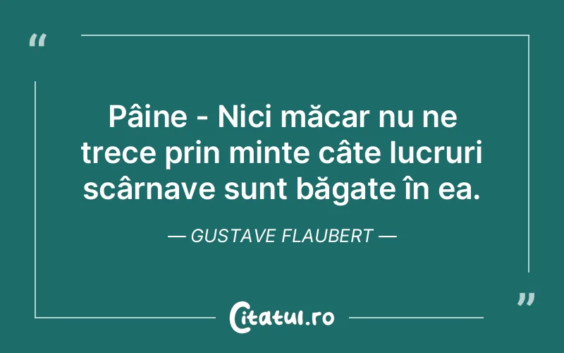 Citat Gustave Flaubert - citate viata