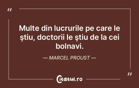 Dacă tragi o pisică de coadă înveţi...