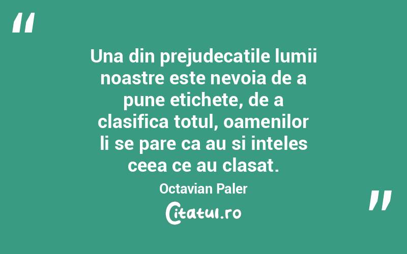 Una din prejudecatile lumii noastre este nevoia de a pune etichete, de a clasifica totul, oamenilor li se pare ca au si inteles ceea ce au clasat. Octavian Paler