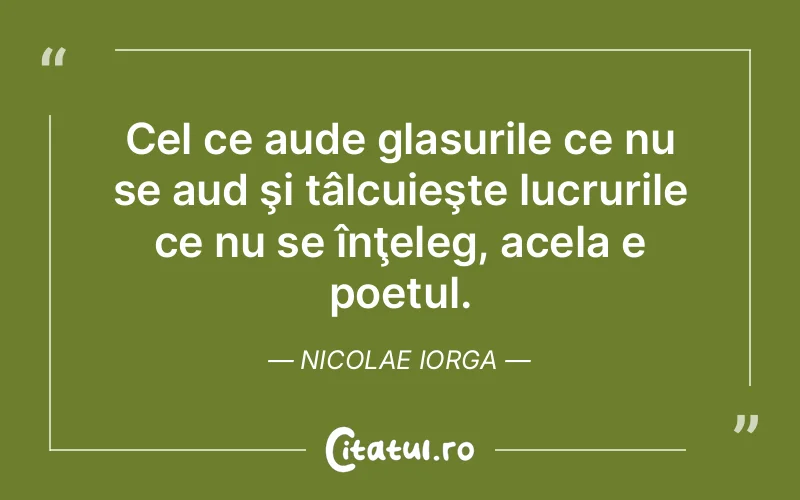 Citat Nicolae Iorga - citate viata