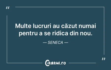 Nu e sărac cel care are puţine lucruri... Nu e sărac cel care are puţine lucruri...