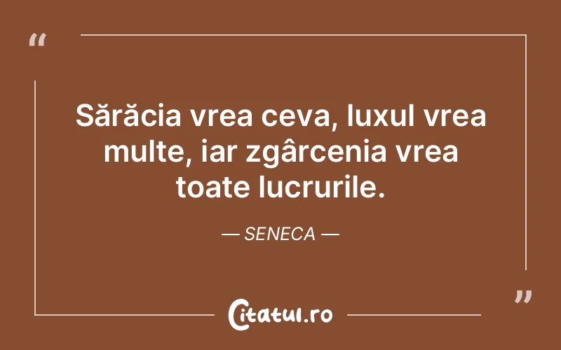 Citat Seneca - citate viata