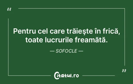 O călătorie, pentru a fi instructivă,... O călătorie, pentru a fi instructivă,...