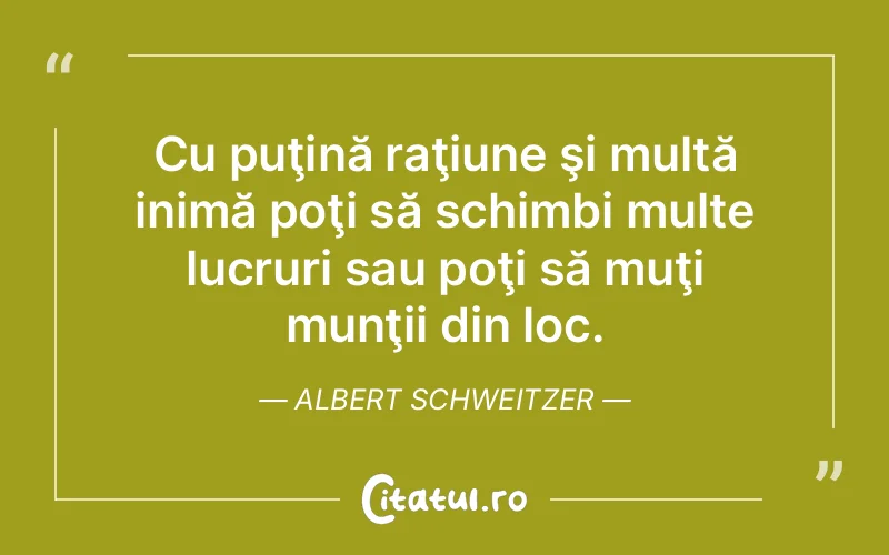 Citat Albert Schweitzer - citate viata