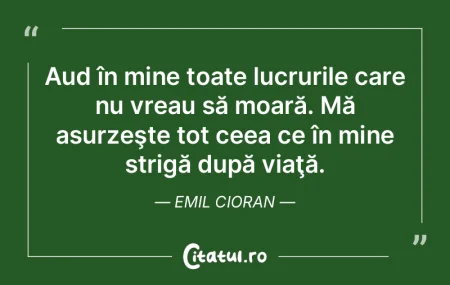 Nietzsche, care a vrut să zdruncine atÃ... Nietzsche, care a vrut să zdruncine atÃ...