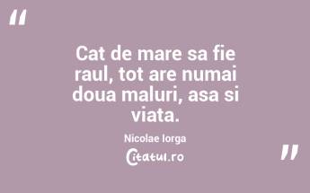 Cat de mare sa fie raul, tot are numai doua maluri, asa si viata. Nicolae Iorga...