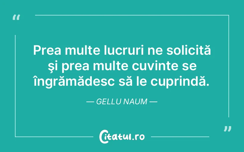 Citat Gellu Naum - citate viata