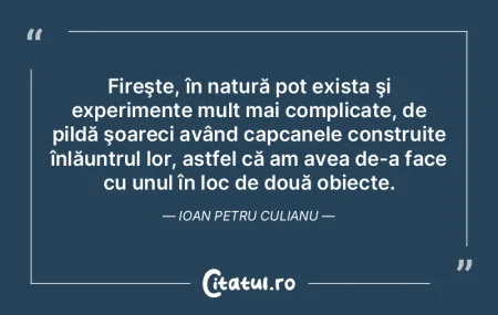 Totul a început înainte, primele cuvin... Totul a început înainte, primele cuvin...