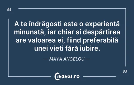 Viața constă în lucruri pe care le pu... Viața constă în lucruri pe care le pu...