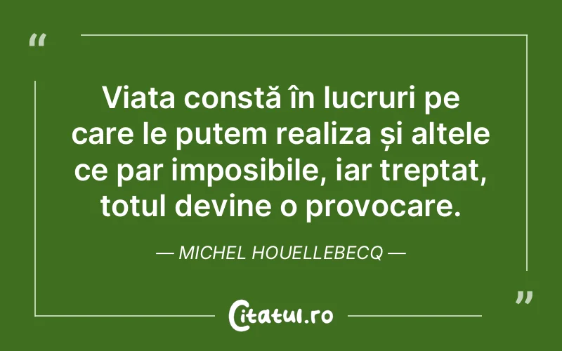 Citat Michel Houellebecq - citate viata