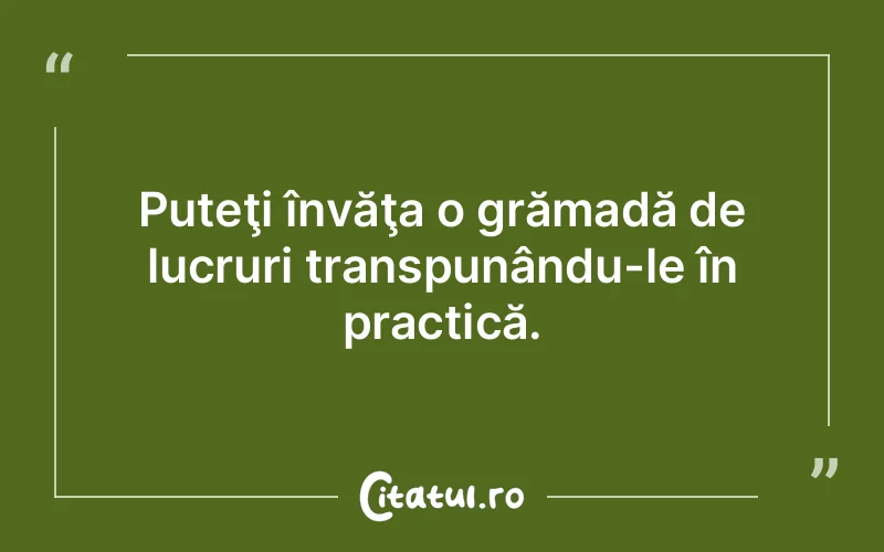 Citat Autor necunoscut - citate viata