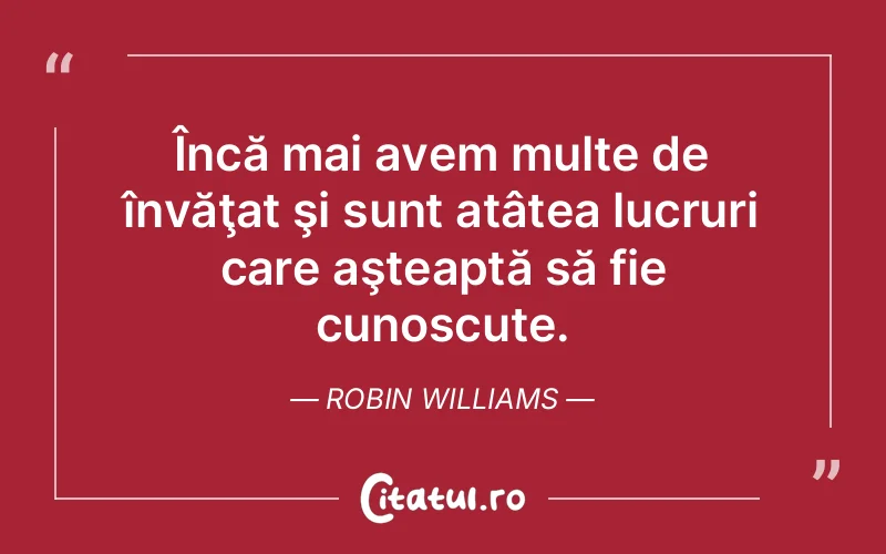 Citat Robin Williams - citate viata