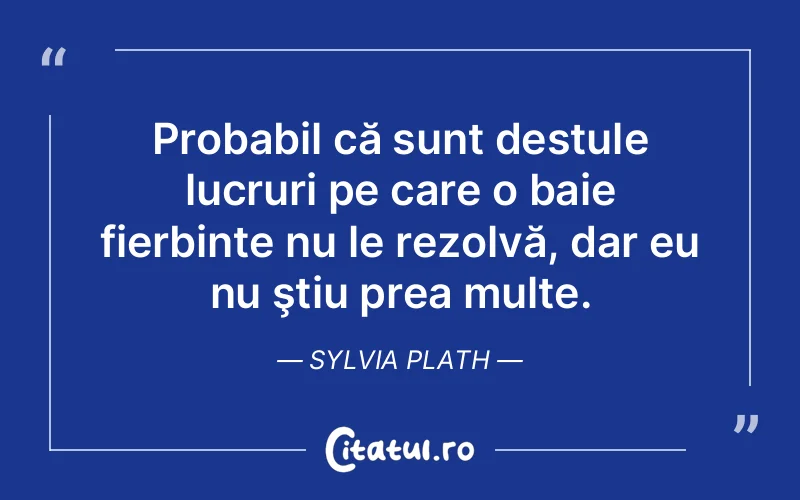 Citat Sylvia Plath - citate viata