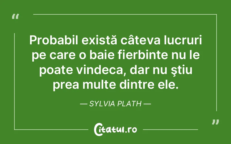 Citat Sylvia Plath - citate viata