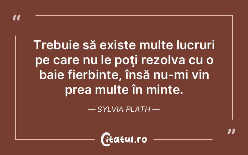 Citat Sylvia Plath - citate viata