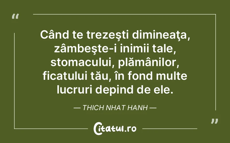 Citat Thich Nhat Hanh - citate viata