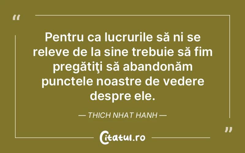 Citat Thich Nhat Hanh - citate viata