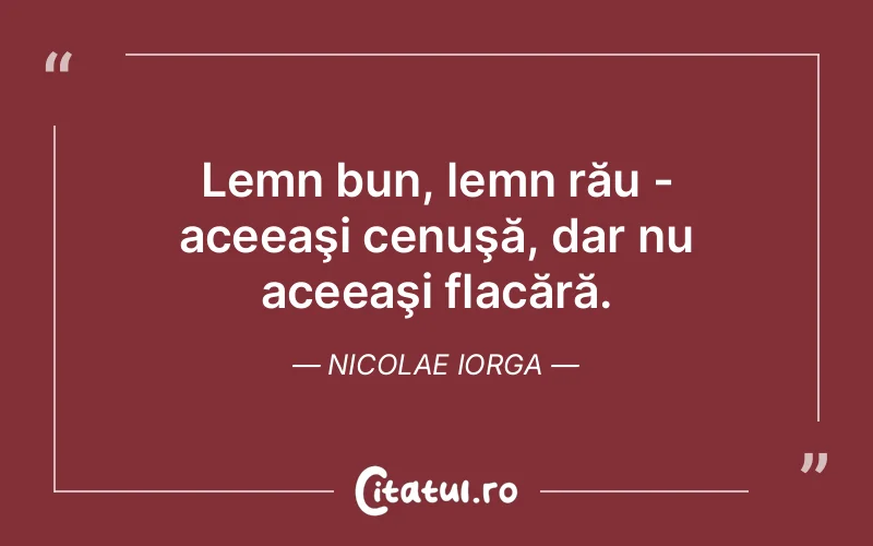 Citat Nicolae Iorga - citate viata