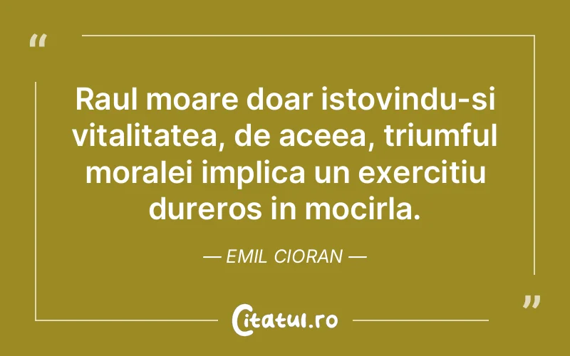 Citat Emil Cioran - citate viata