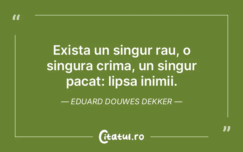 Citat Eduard Douwes Dekker - citate viata