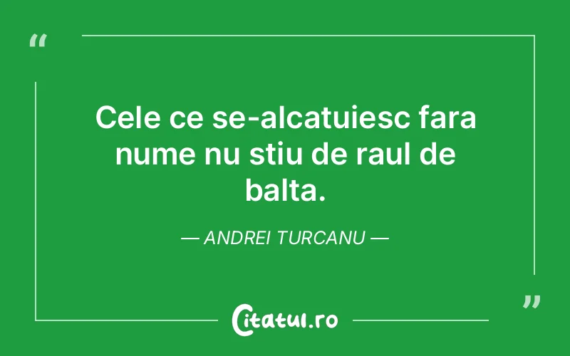 Citat Andrei Turcanu - citate viata