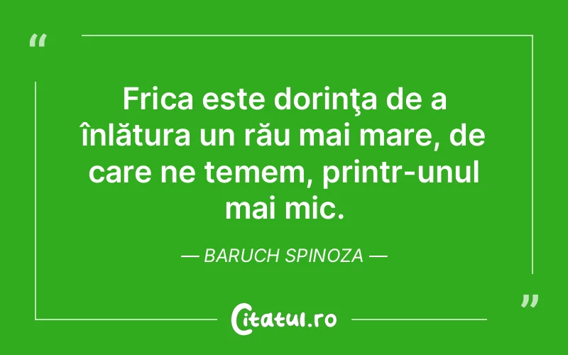 Citat Baruch Spinoza - citate viata