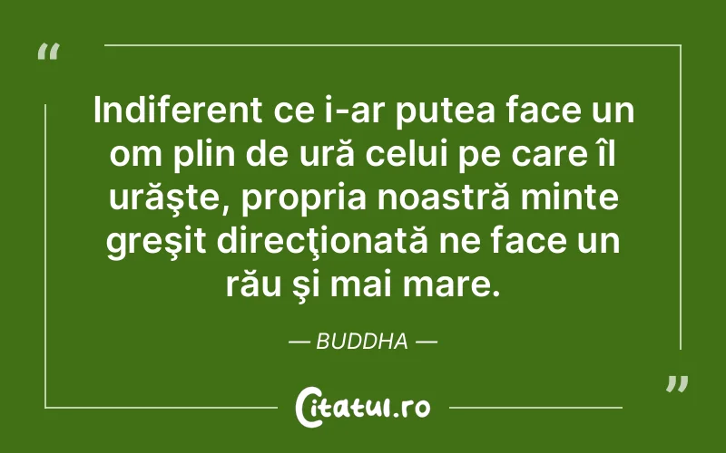 Citat Buddha - citate viata