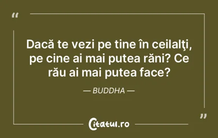 Priveşte-te în alţii. Apoi pe cine ma... Priveşte-te în alţii. Apoi pe cine ma...
