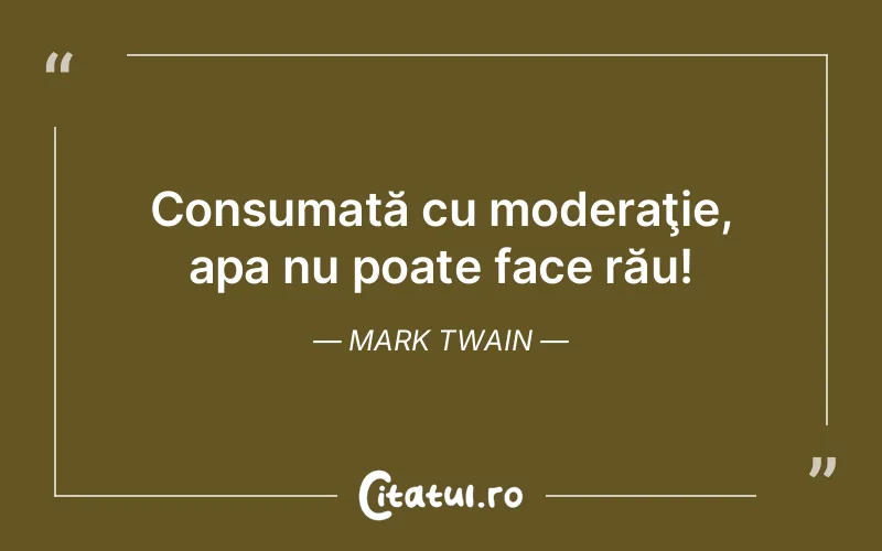 Citat Mark Twain - citate viata
