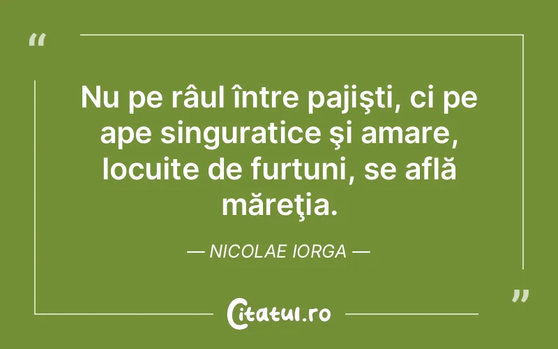 Citat Nicolae Iorga - citate viata
