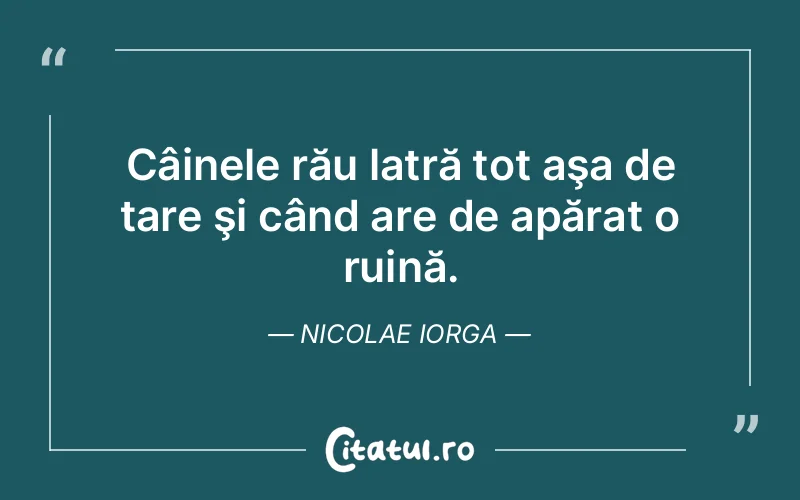 Citat Nicolae Iorga - citate viata