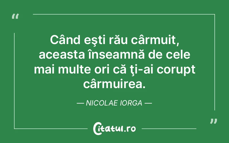 Citat Nicolae Iorga - citate viata