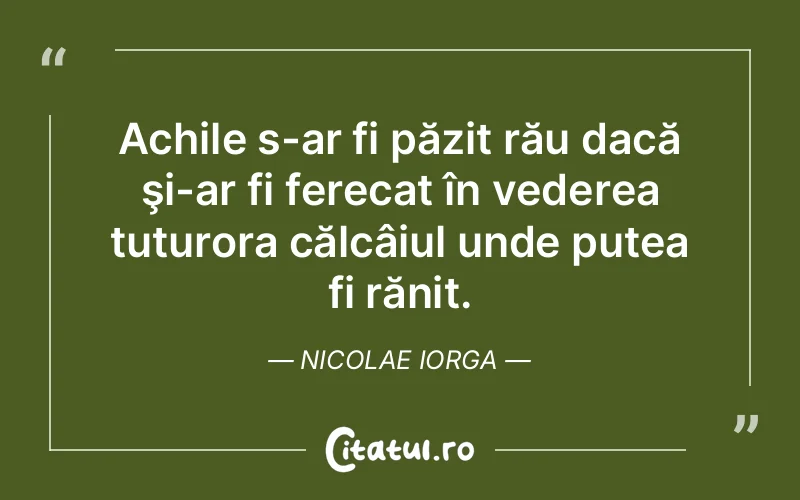Citat Nicolae Iorga - citate viata