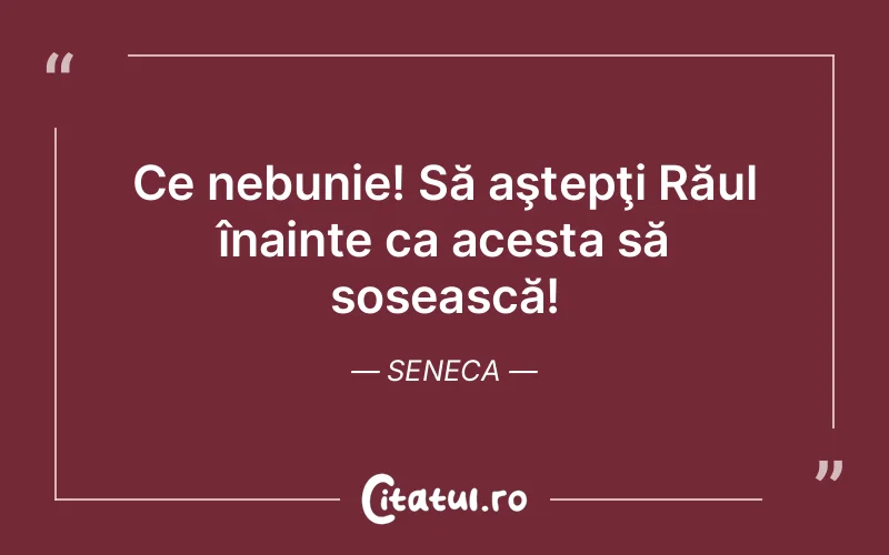 Citat Seneca - citate viata