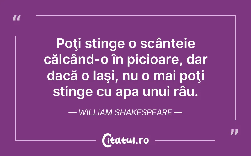 Citat William Shakespeare - citate viata