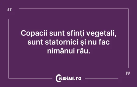 Nu te încrede în prima impresie instin... Nu te încrede în prima impresie instin...